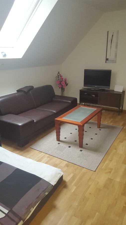 Apartments In Weissenhorn Luaran gambar